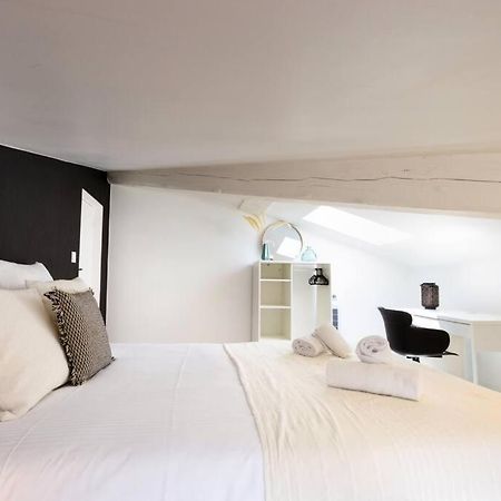 Le Loft Cache Apartment Каркасон Екстериор снимка