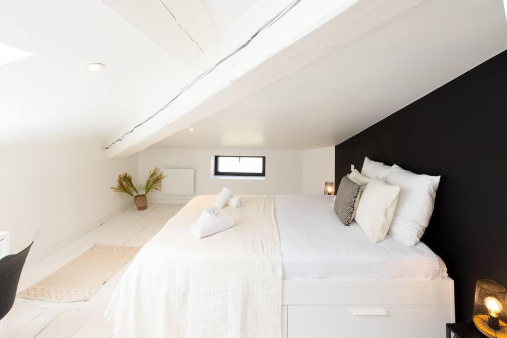Le Loft Cache Apartment Каркасон Екстериор снимка